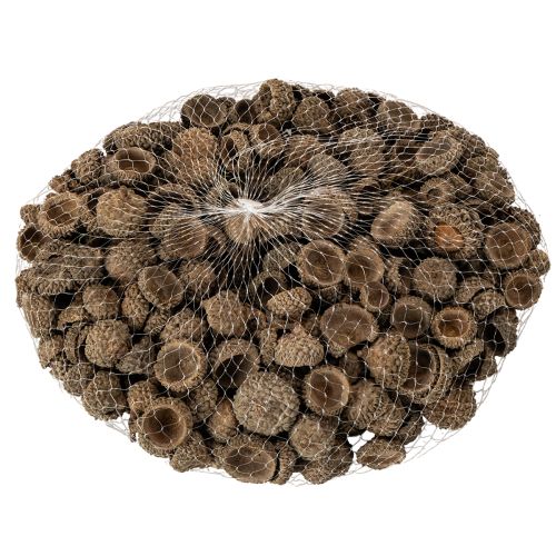Natūralūs gilių kepurėlės, dekoratyviniai dubenėliai rudeniui ir Adventui, 2 cm, 300 g | Floristik24.lt