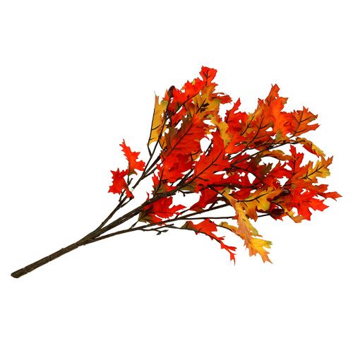 Floristik24 Ąžuolo lapų krūmas oranžinis 56cm