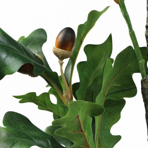 Floristik24 Dirbtinė ąžuolo lapų šakelė su gilėmis 90cm