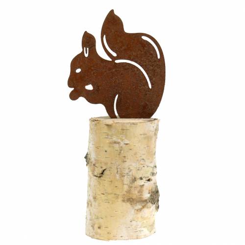 Floristik24 Voverės patina ant kamieno, aukštis 22 cm