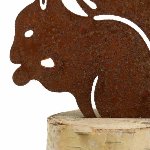 Floristik24 Voverės patina ant kamieno, aukštis 22 cm