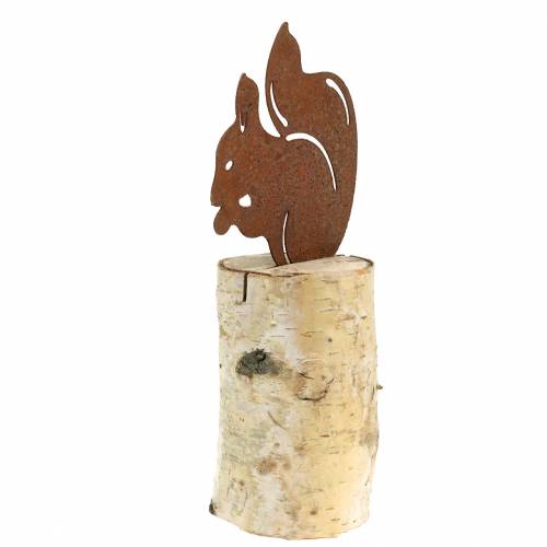 Floristik24 Voverės patina ant kamieno, aukštis 22 cm