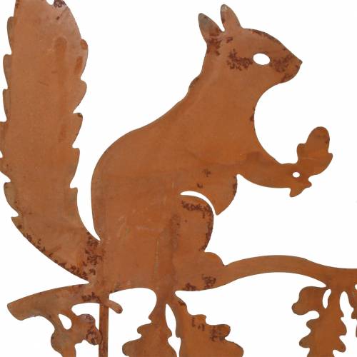 daiktų Sodo kuoliukas voverė ant šakos patina metalinis H42cm 3vnt