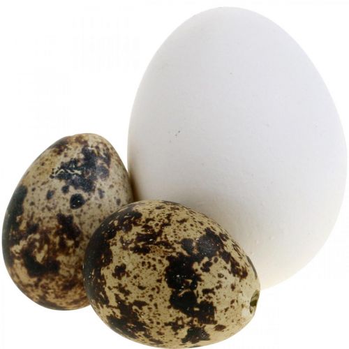 Dekoratyvinis kiaušinių mišinys putpelių kiaušiniai ir vištienos kiaušiniai Išpūsti velykiniai kiaušiniai