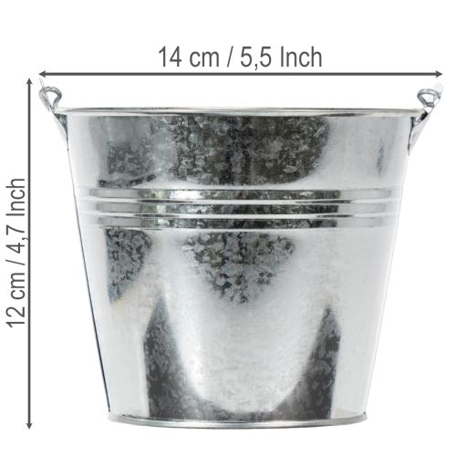 Kibirai Ø14cm A12cm 6 vnt. Cinko spalvos, blizgūs | Floristik24.lt