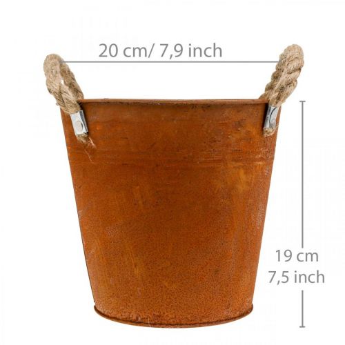 Floristik24 Dekoratyvinis puodas su rankenomis, rudens puošmena, metalinis dubuo patina Ø20cm H19cm