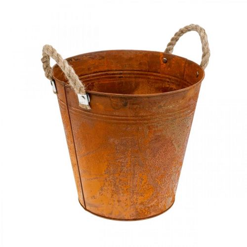 Sėjamoji su rankenomis, augalo dubuo, metalinis indas su rūdžių apdaila Ø25cm H24cm