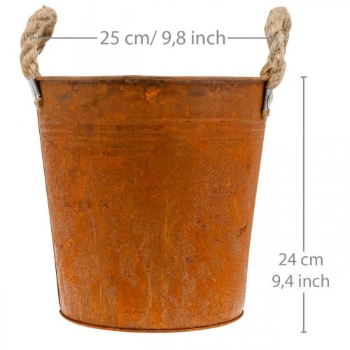 Sėjamoji su rankenomis, augalo dubuo, metalinis indas su rūdžių apdaila Ø25cm H24cm | Floristik24.lt