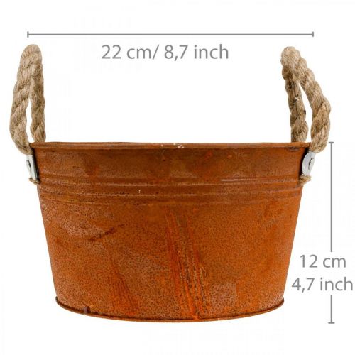 Floristik24 Metalinis vazonas su virvinėmis rankenomis, augalų dubuo, rudeninis, patina Ø22cm H12cm