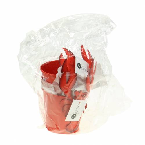 daiktų Dekoratyvinis kibiras omaras metalinis raudonas Ø8cm H13cm 3 vnt
