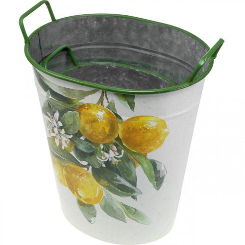 Floristik24 Viduržemio jūros skardinis kubilas, sodinukas su citrinos motyvu balta, žalia, geltona H43,5/34cm P36,5/27,5cm rinkinys iš 2 vnt.
