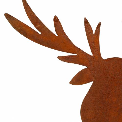 Floristik24 Briedžio patina klijuoti H58cm