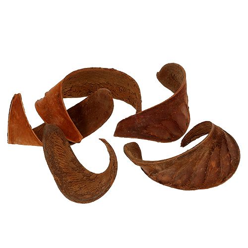 daiktų Elephant Ear Natural 25 vnt