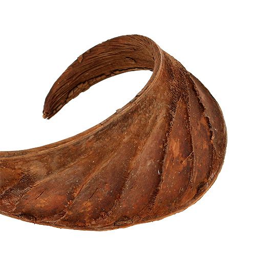 daiktų Elephant Ear Natural 25 vnt