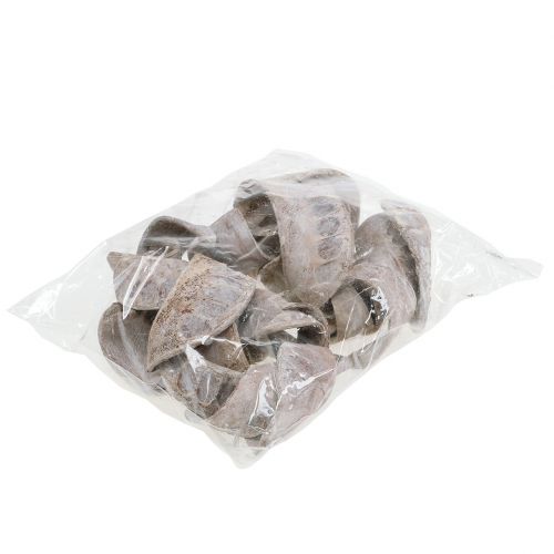 daiktų Elephant Ear White skalbtas 25 vnt