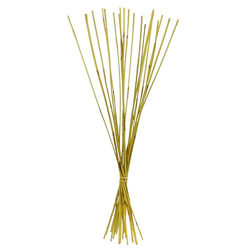 Floristik24 Dekoratyvinės lazdelės, Elephant Reed Yellow 20 vnt