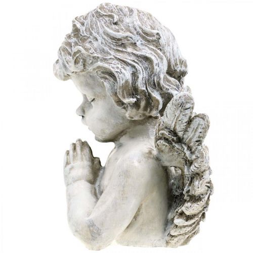 Floristik24 Meldžiantis angelas, laidotuvių floristika, angelo figūros biustas, kapo puošmena A19cm P19.5cm