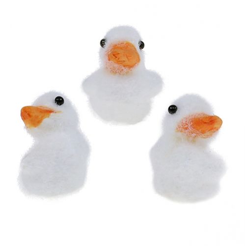 Floristik24 Duck mini flocked 4cm balta 12vnt