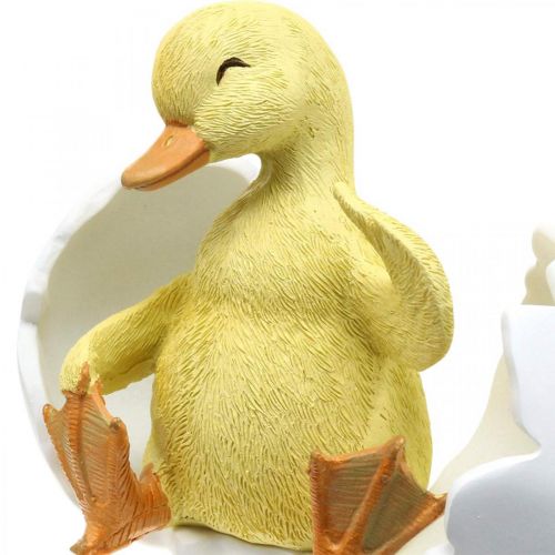 Floristik24 Išsiritęs viščiukas, anties figūrėlė, ančiukas kiaušinyje A10cm P12,5cm