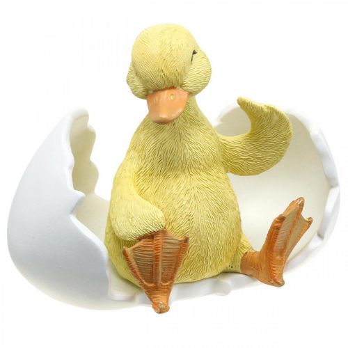 Floristik24 Išsiritęs viščiukas, anties figūrėlė, ančiukas kiaušinyje A10cm P12,5cm