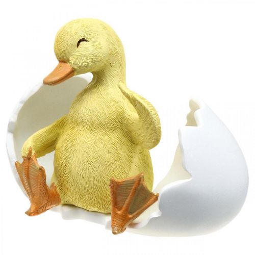 Floristik24 Išsiritęs viščiukas, anties figūrėlė, ančiukas kiaušinyje A10cm P12,5cm