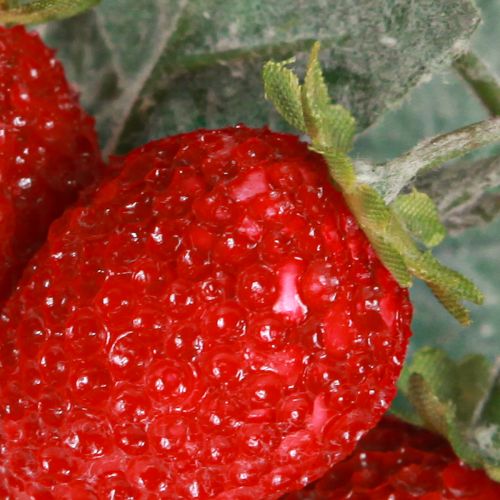 daiktų Braškių dekoravimas Dirbtinės braškės L23cm 1 Kekė 6vnt