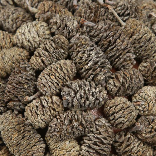 daiktų Dekoratyvinis baltai dažytas kūgio formos rutulys pakabinimui, 20 cm