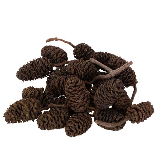 Natūralūs alksnio kankorėžiai, palaidi, dekoravimui, 3 cm, 300 g, natūraliai rudi.