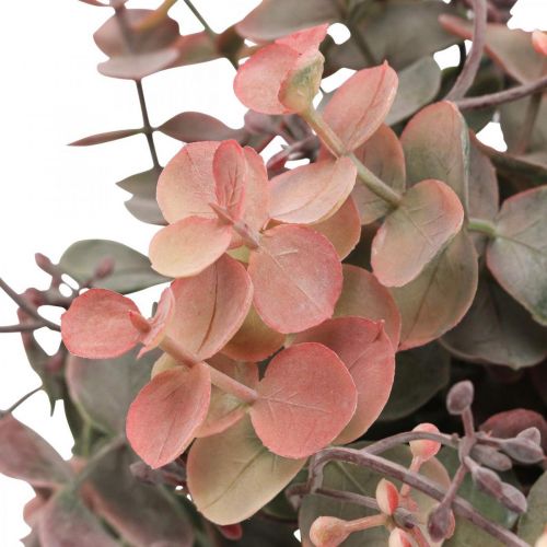 Floristik24 Eukalipto krūmas Dirbtinis Eucalyptus Red Green 25cm 3vnt
