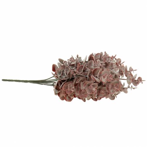 Floristik24 Dirbtinis eukaliptas Burgundija 32cm Dirbtinis augalas kaip tikras!