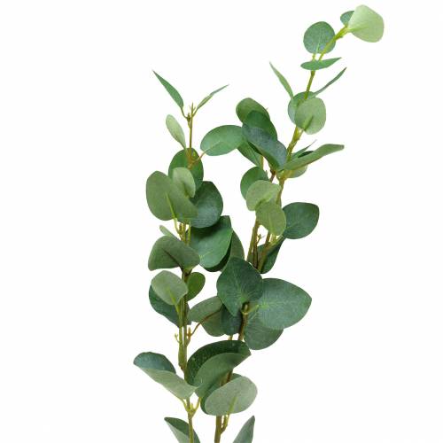 Floristik24 Eukalipto šakelė 76cm