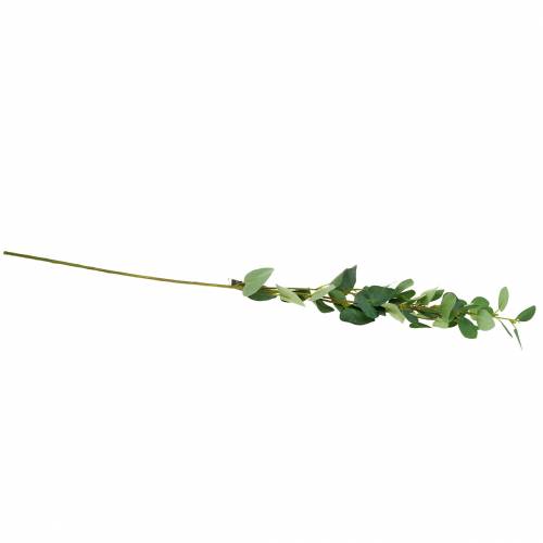 Floristik24 Eukalipto šakelė 76cm