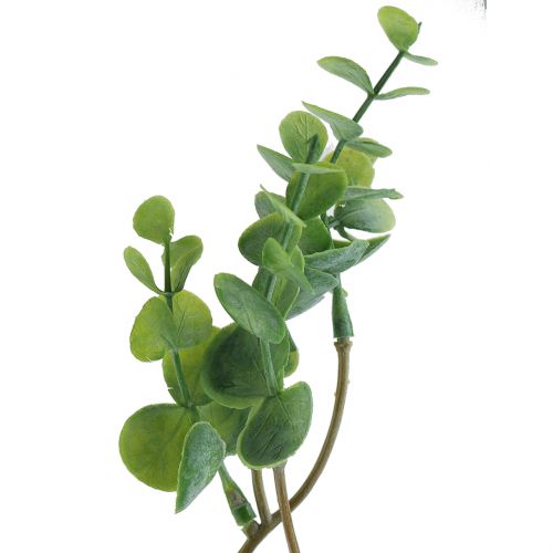 Floristik24 Dirbtinė eukalipto šakelė žalia 37cm 6vnt