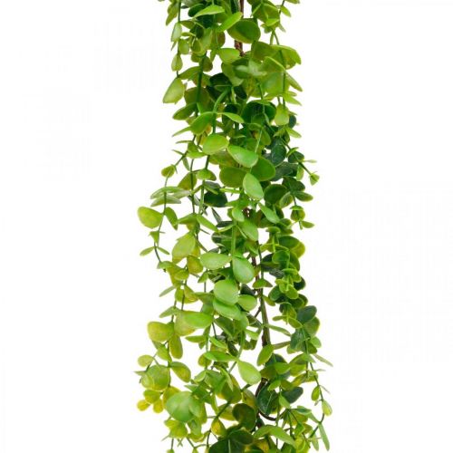 Vestuvių puošmena eukalipto girlianda dirbtinė žalia 122cm