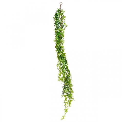 Floristik24 Vestuvių puošmena eukalipto girlianda dirbtinė žalia 122cm