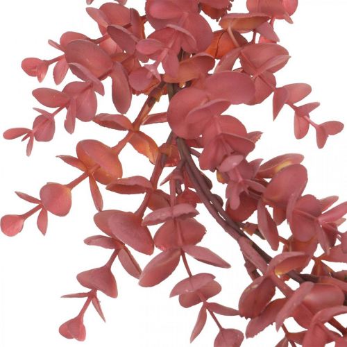 Floristik24 Dekoratyvinis vainikas eukalipto raudonas Dirbtinis eukalipto vainikas Ø32cm