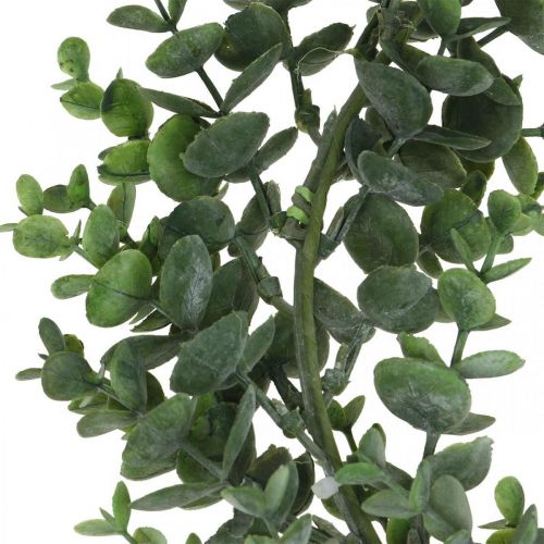 Floristik24 Dekoratyvinis vainikas eukalipto žalias Dirbtinis eukalipto vainikas Ø32cm