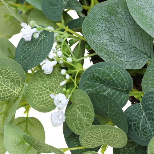 Floristik24 Dekoratyvinis vainikas eukalipto žalios baltos gėlės dirbtinės Ø45cm
