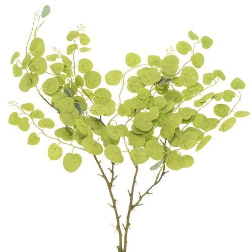 daiktų Dekoratyvinė eukalipto šakelė, ideali stalo puošmena, 120 cm