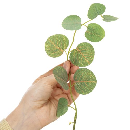 daiktų Dekoratyvinė eukalipto šakelė, ideali stalo puošmena, 120 cm