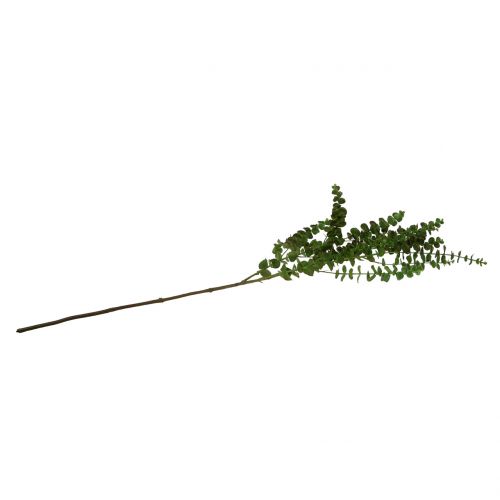 Floristik24 Eukalipto šakelė žalia 130cm
