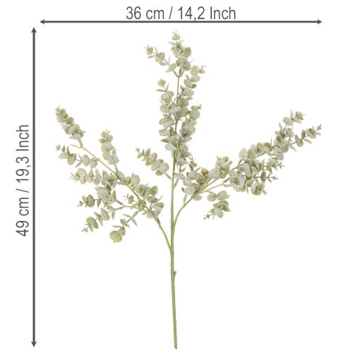 Dirbtinė eukalipto šakelė, dekoratyvinė šakelė vazoms ir puokštėms, 49 cm, 4 vnt. | Floristik24.lt