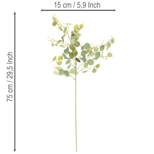 Dirbtinė eukalipto šakelė su apvaliais lapais, 75 cm, 4 vnt. | Floristik24.lt
