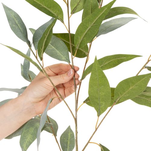 Dirbtinė eukalipto šakelė, natūraliai žalia, dekoracija, 100 cm | Floristik24.lt