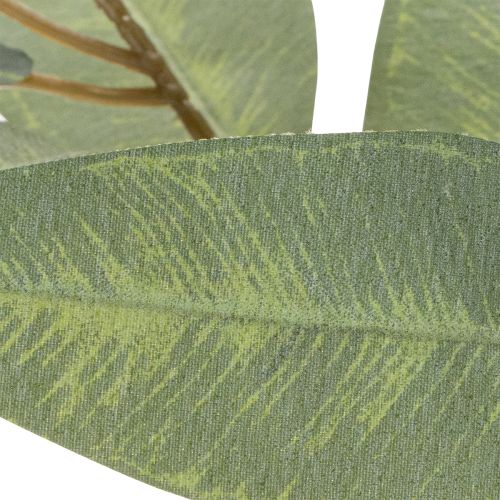 Dirbtinė eukalipto šakelė, natūraliai žalia, dekoracija, 100 cm | Floristik24.lt