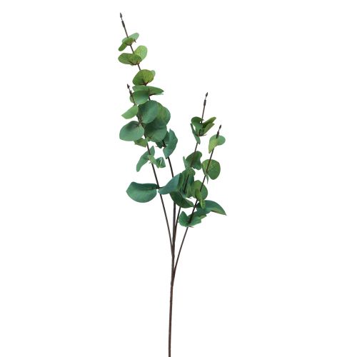 Floristik24 Eukalipto šakelė dirbtinė eukalipto žalia 64cm