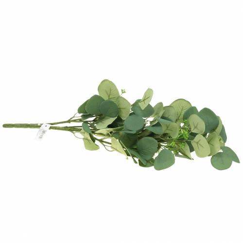 Floristik24 Eukalipto šakelė 52cm