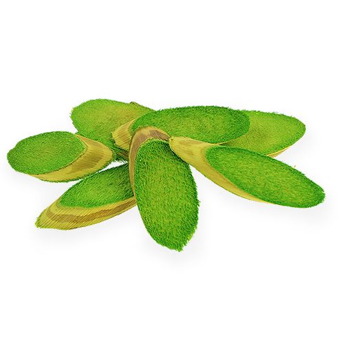 Floristik24 Dekoratyviniai mediniai diskai spring green 300g