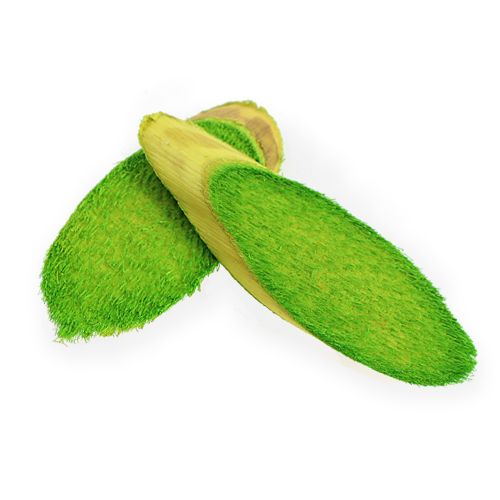 Floristik24 Dekoratyviniai mediniai diskai spring green 300g