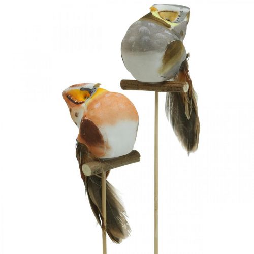 daiktų Deco kištukas pelėda, gėlių dekoracija, pelėda su plunksnomis H5,5cm 6vnt